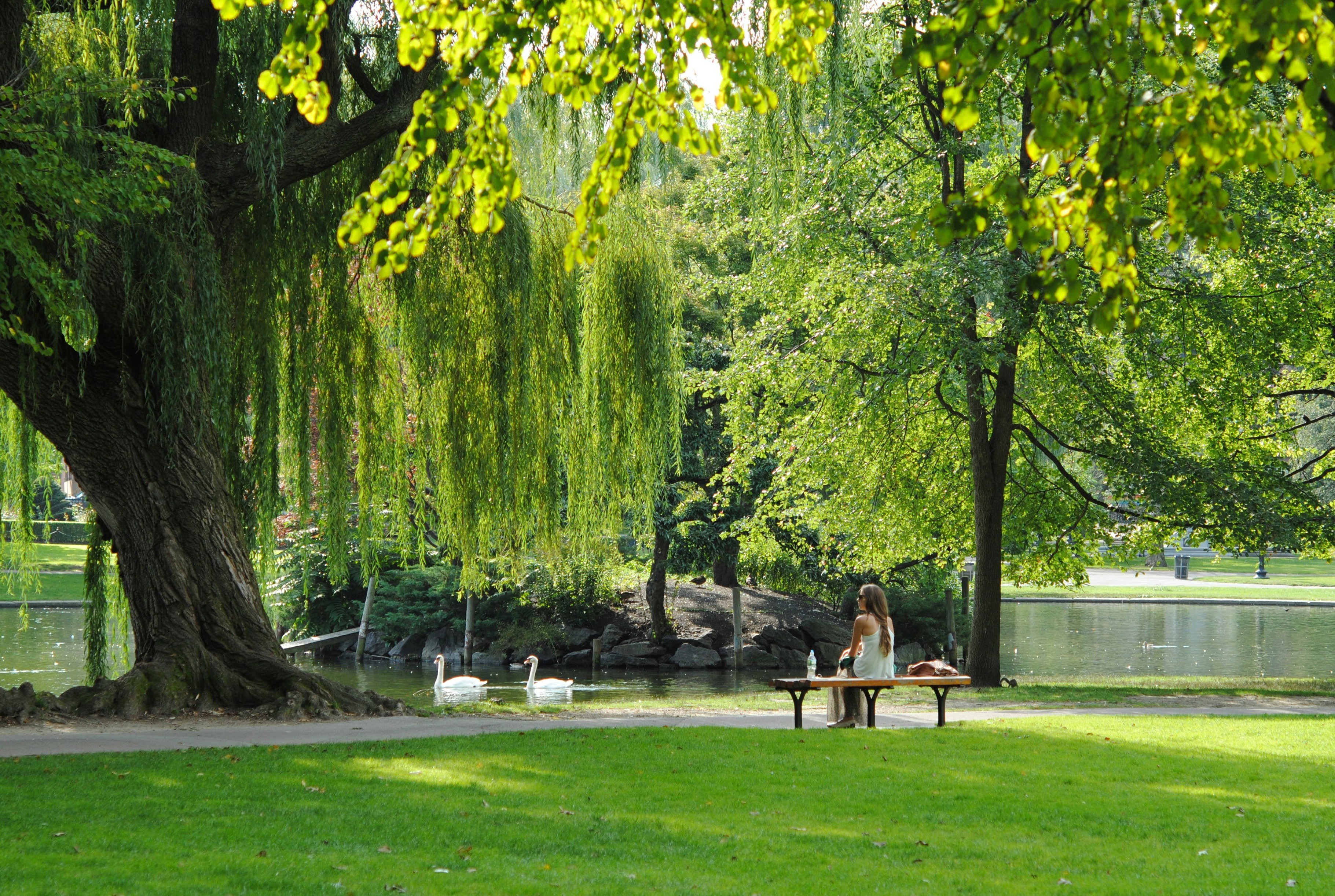 A green public square